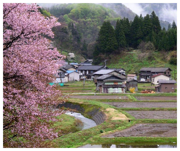 Ảnh: nippon